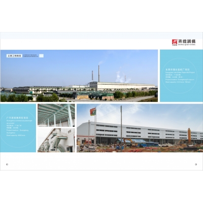 东莞市理文造纸厂项目